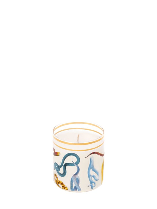 Seletti: Snakes scented candle - Transparent - ecraft_0 | Luisa Via Roma