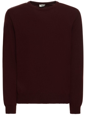 Annagreta: Lorenzo cashmere crewneck sweater - Brown - men_0 | Luisa Via Roma
