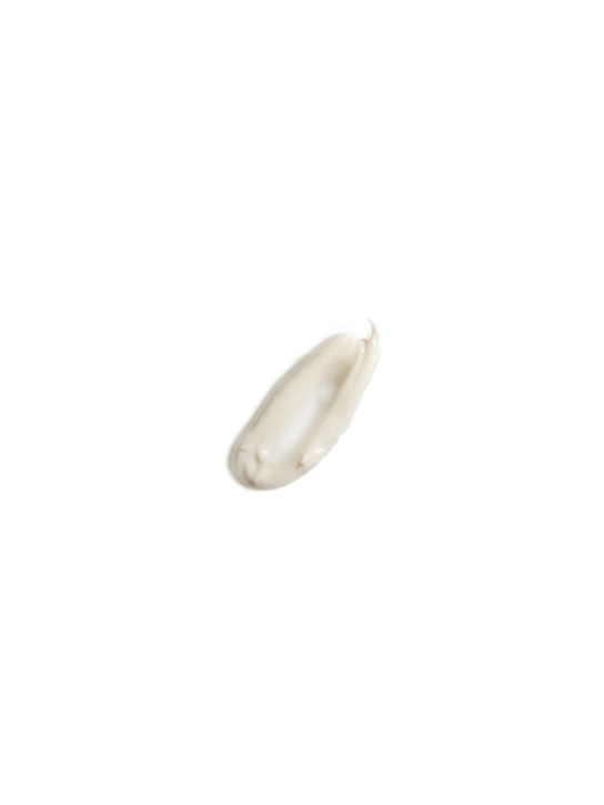 Seed To Skin: Crème The Light Source 50 ml - Transparent - beauty-men_1 | Luisa Via Roma