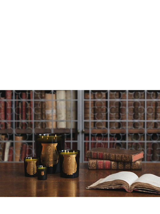 Trudon: 270gr Tuileries Classic bougie - ecraft_1 | Luisa Via Roma