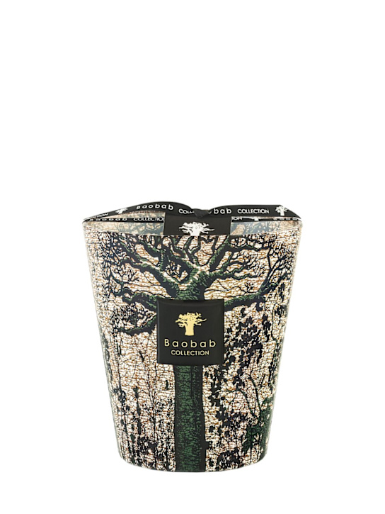 Baobab Collection: Max 16 Sacred Trees Kani香氛蜡烛 - ecraft_0 | Luisa Via Roma