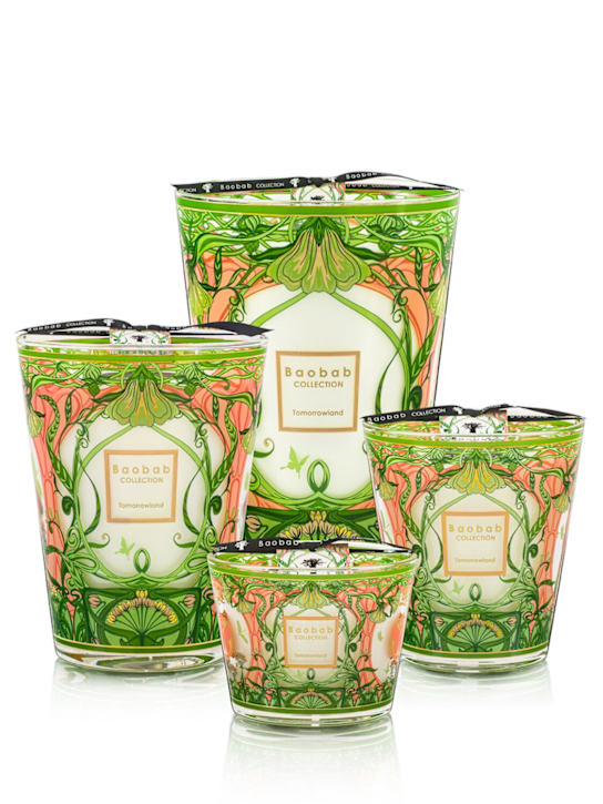 Baobab Collection: Max 16 Tomorrowland 2024 candle - Green - ecraft_1 | Luisa Via Roma