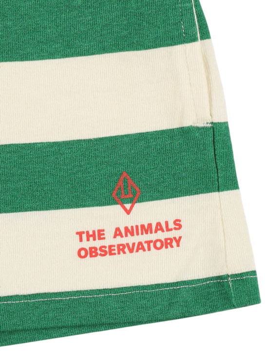 The Animals Observatory: Striped cotton jersey shorts - White/Green - kids-boys_1 | Luisa Via Roma