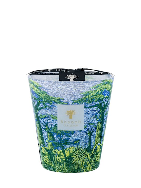 Baobab Collection: Max 16 Sacred Trees Yarani香氛蜡烛 - 蓝色/绿色 - ecraft_0 | Luisa Via Roma