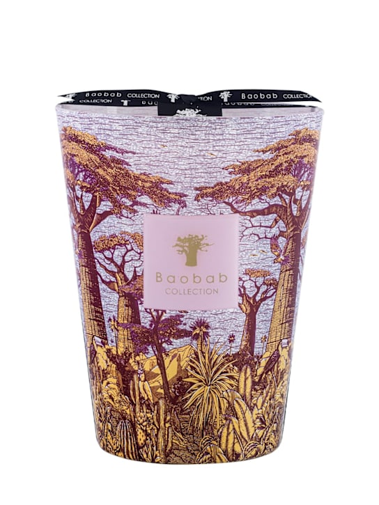 Baobab Collection: Max 24 Sacred Trees Massasso candle - Purple - ecraft_0 | Luisa Via Roma