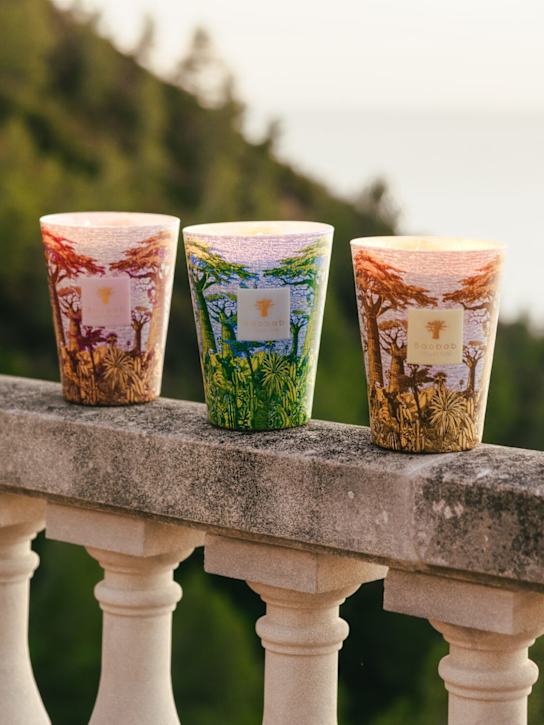 Baobab Collection: Max 24 Sacred Trees Massasso candle - Purple - ecraft_2 | Luisa Via Roma