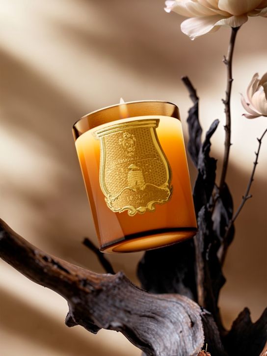 Trudon: 270g Altair candle - ecraft_1 | Luisa Via Roma