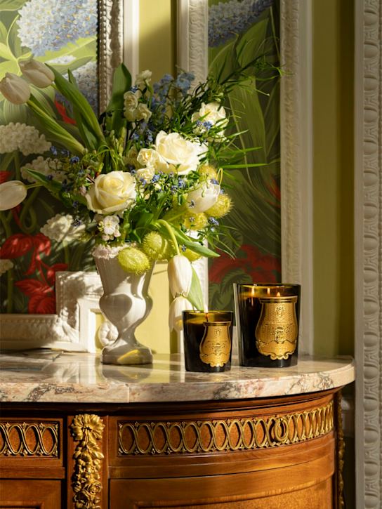 Trudon: 270g Spiritus Sancti scented candle - ecraft_1 | Luisa Via Roma