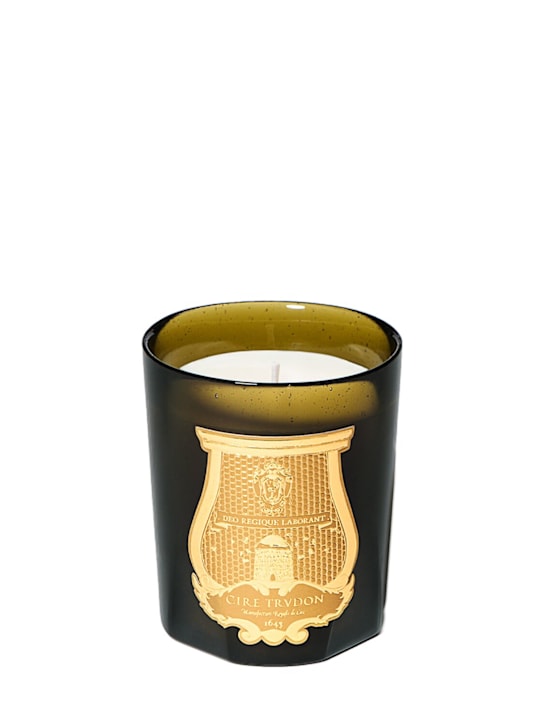 Trudon: 270g Spiritus Sancti scented candle - ecraft_0 | Luisa Via Roma
