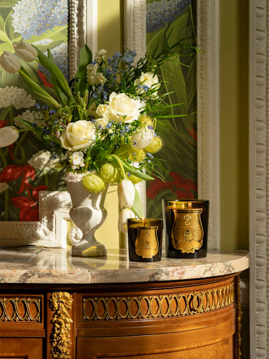 Trudon: 270g Solis Rex scented candle - ecraft_1 | Luisa Via Roma