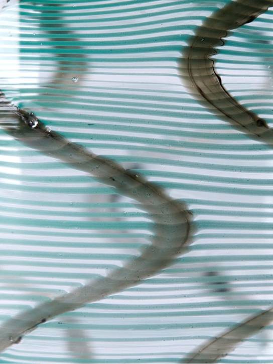 The Conran Shop: Tavolo Aqua tumbler - Aqua - ecraft_1 | Luisa Via Roma