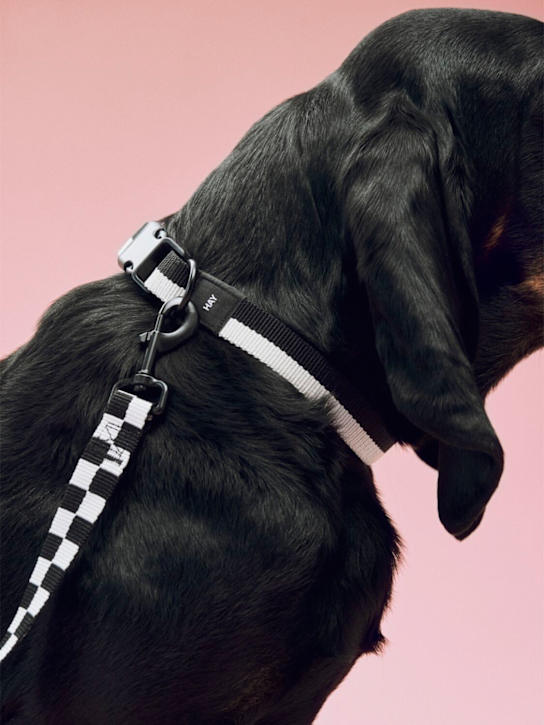 HAY: Flat Check M/L dog leash - ecraft_1 | Luisa Via Roma