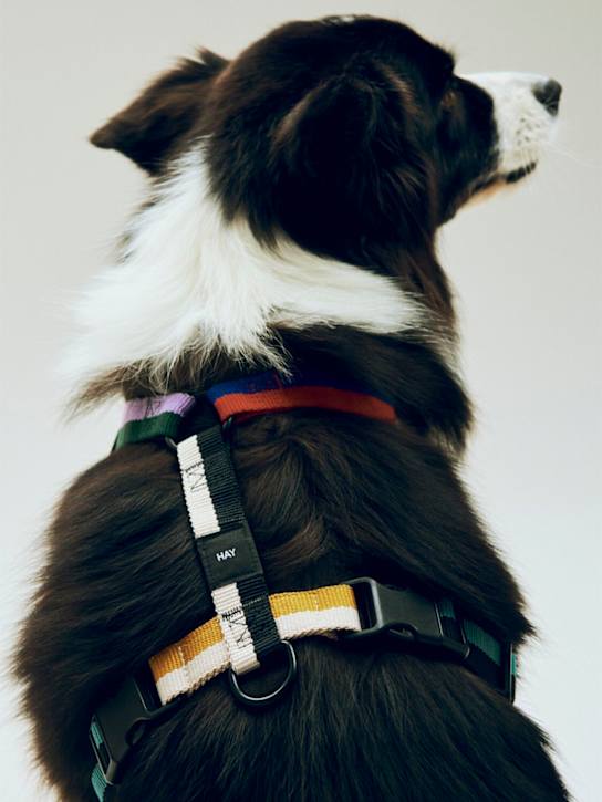 HAY: Dog harness - ecraft_1 | Luisa Via Roma