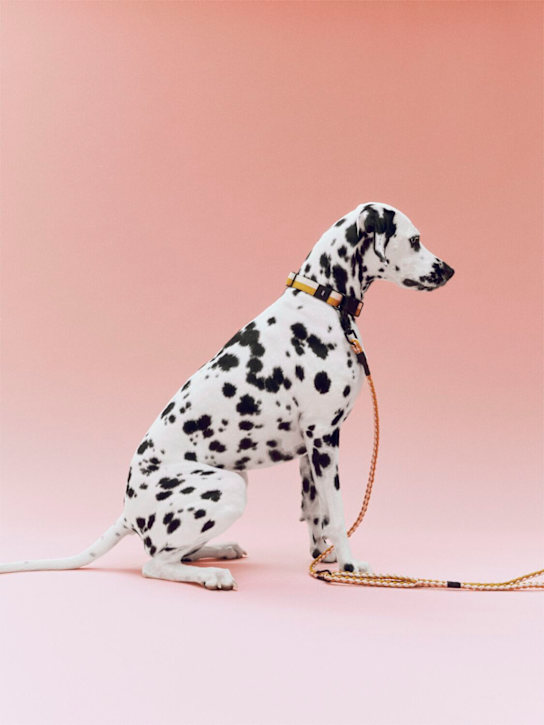 HAY: Braided Adjustable M/L dog leash - Orange - ecraft_2 | Luisa Via Roma