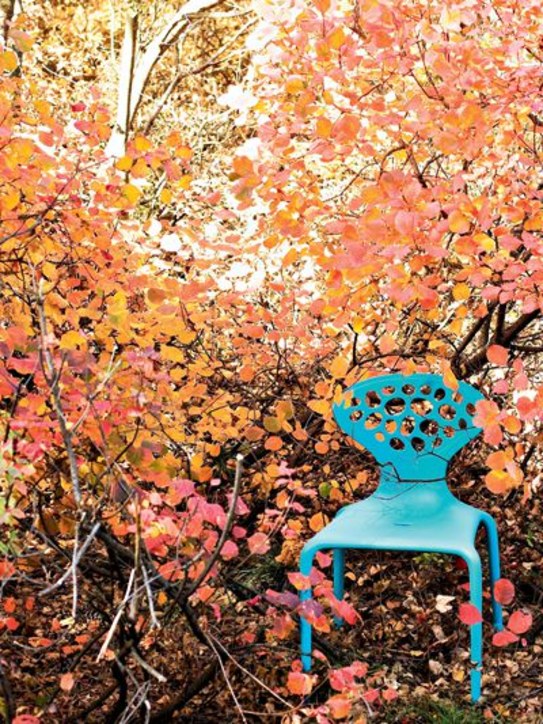 Moroso: Set of 4 Supernatural chairs - Blue - ecraft_1 | Luisa Via Roma