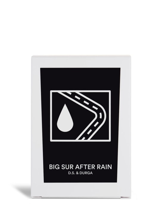 Ds&durga: 200gr Big Sur After Rain candle - Transparent - beauty-women_1 | Luisa Via Roma