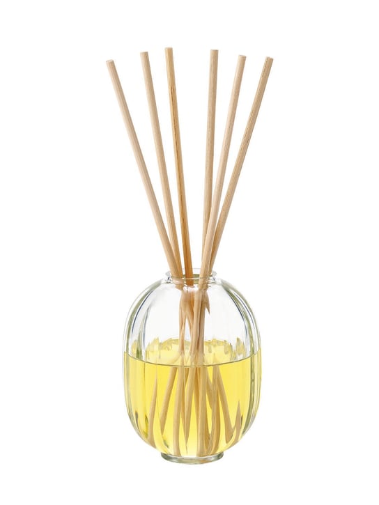 Diptyque: 200ml Citronelle home fragrance set - Trasparente - beauty-men_0 | Luisa Via Roma