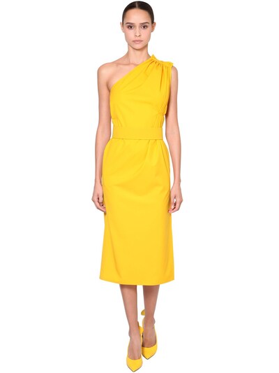cotton poplin dress max mara