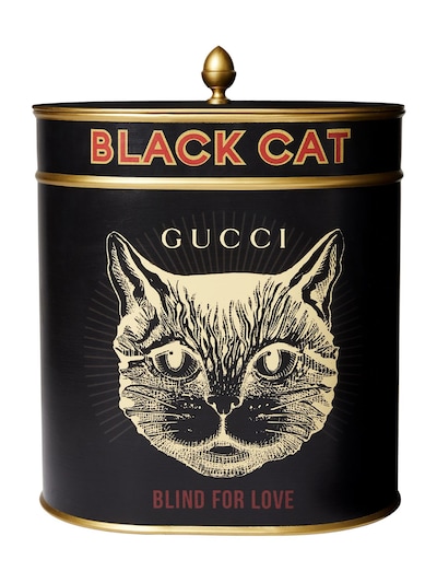 black cat gucci