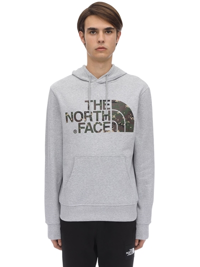 the north face standard hoodie