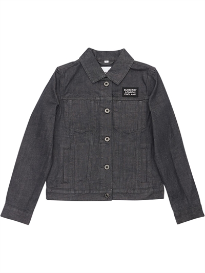 burberry jacket grey