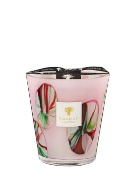 baobab collection - candles & candleholders - home - new season