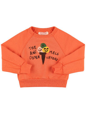 the animals observatory - sweatshirts - toddler-boys - new season