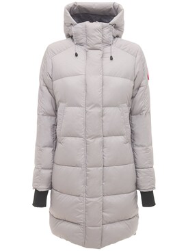 canada goose spring