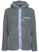 Patagonia tech fleece online hoodie