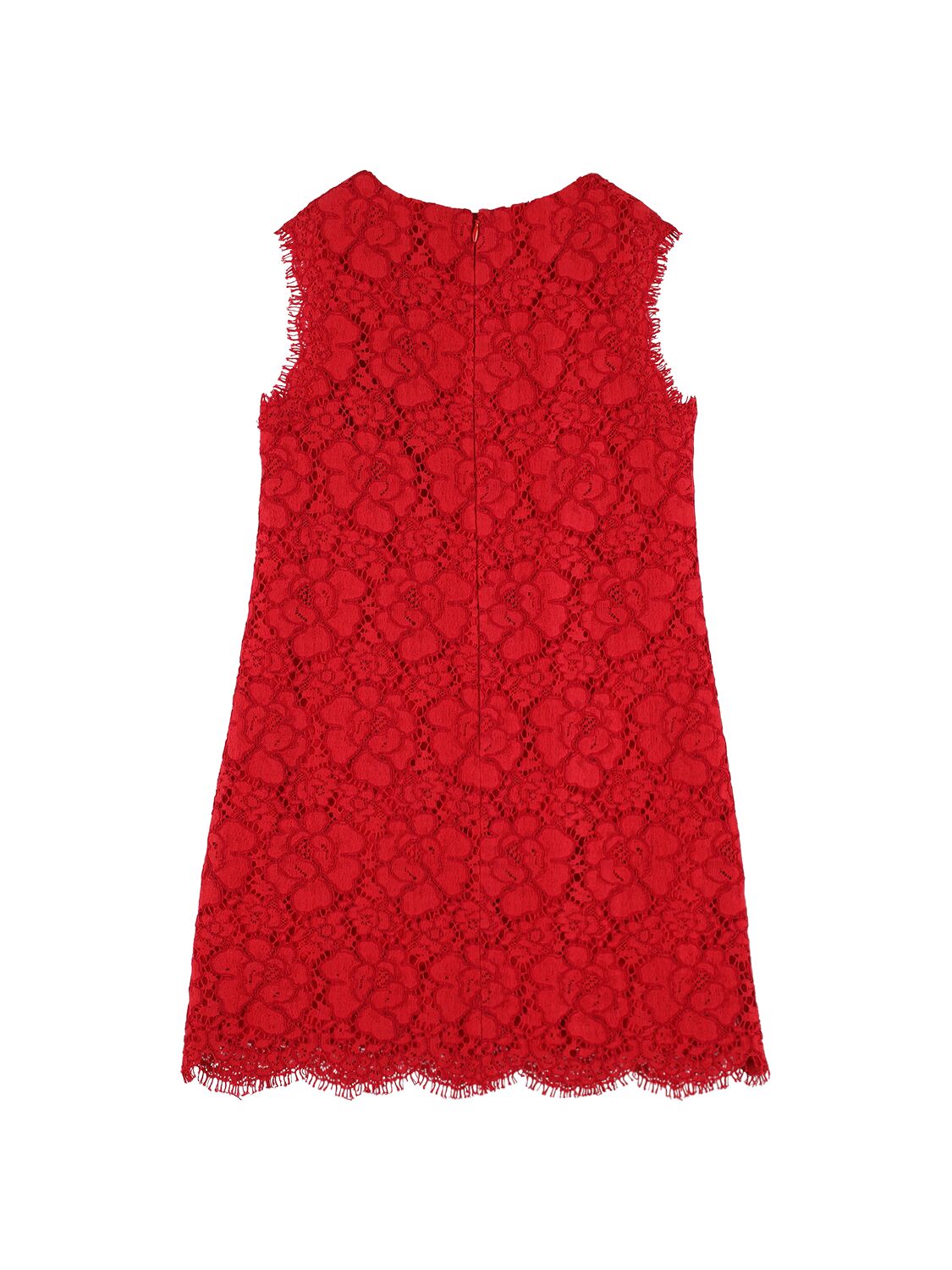 Shop Dolce & Gabbana Lace Cotton Blend Dress W/logo In Red