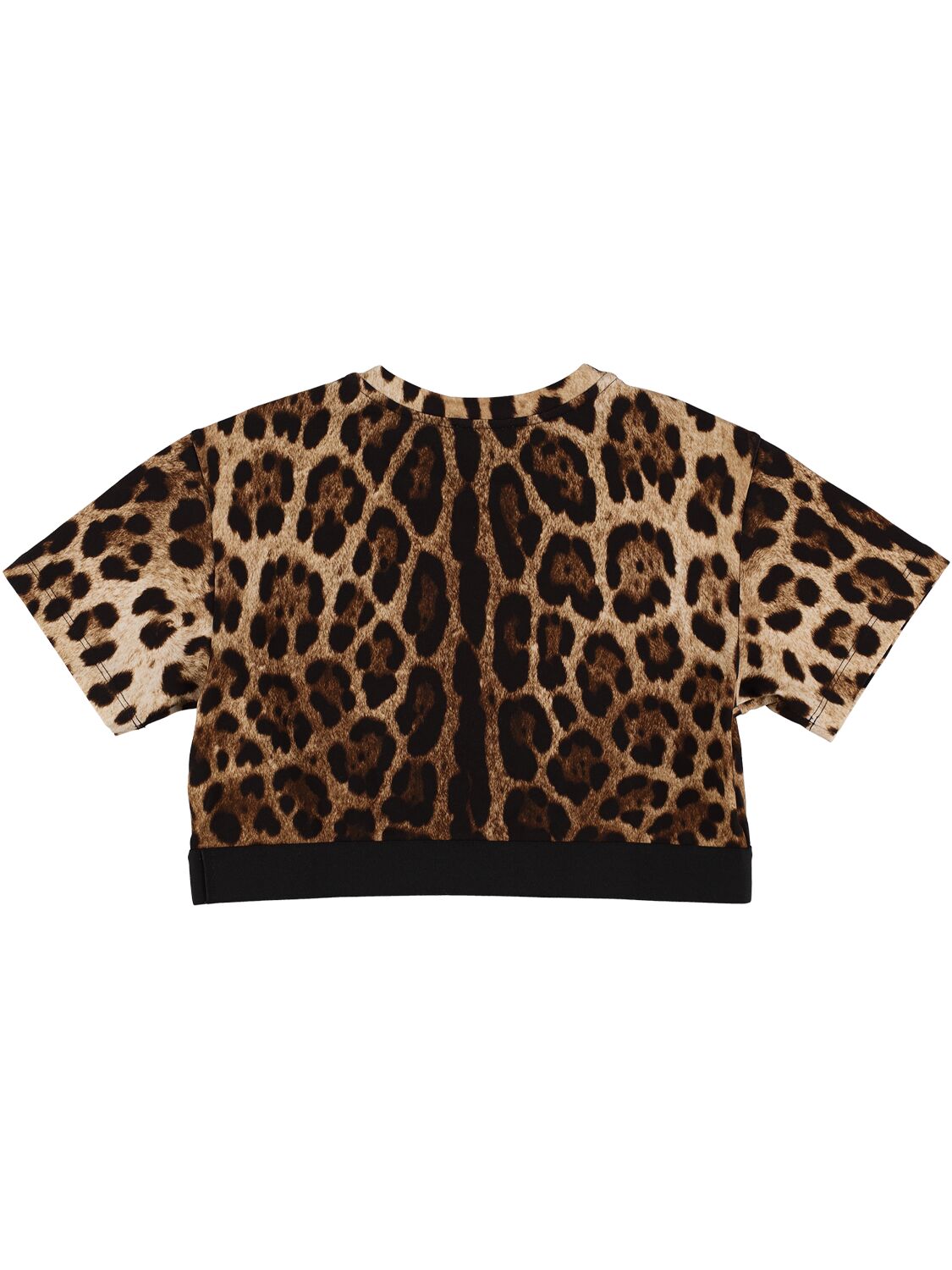 Dolce & Gabbana All Over Print Cotton Cropped T-shirt In Black,brown