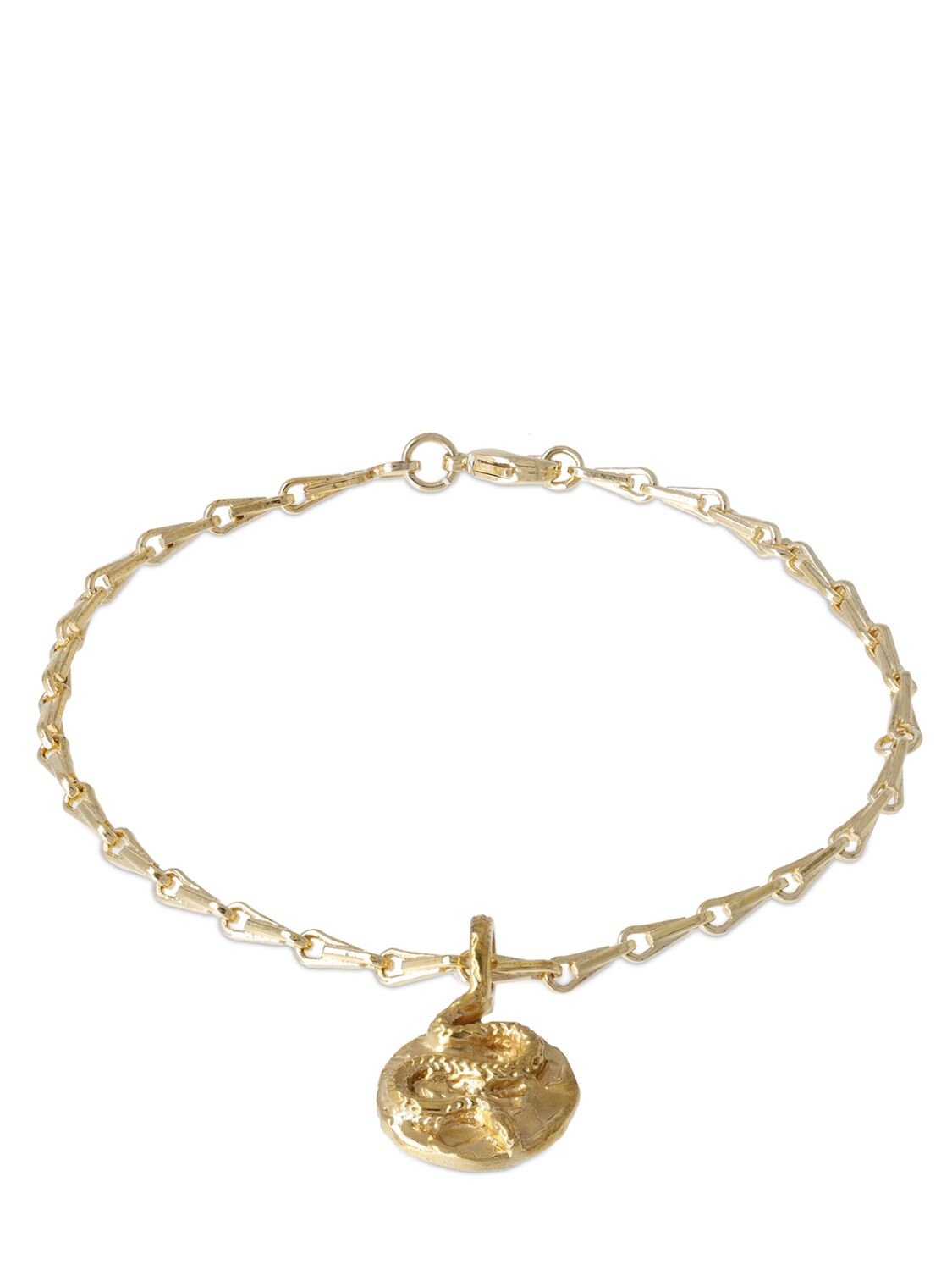 Image of Serpent Charm Anklet
