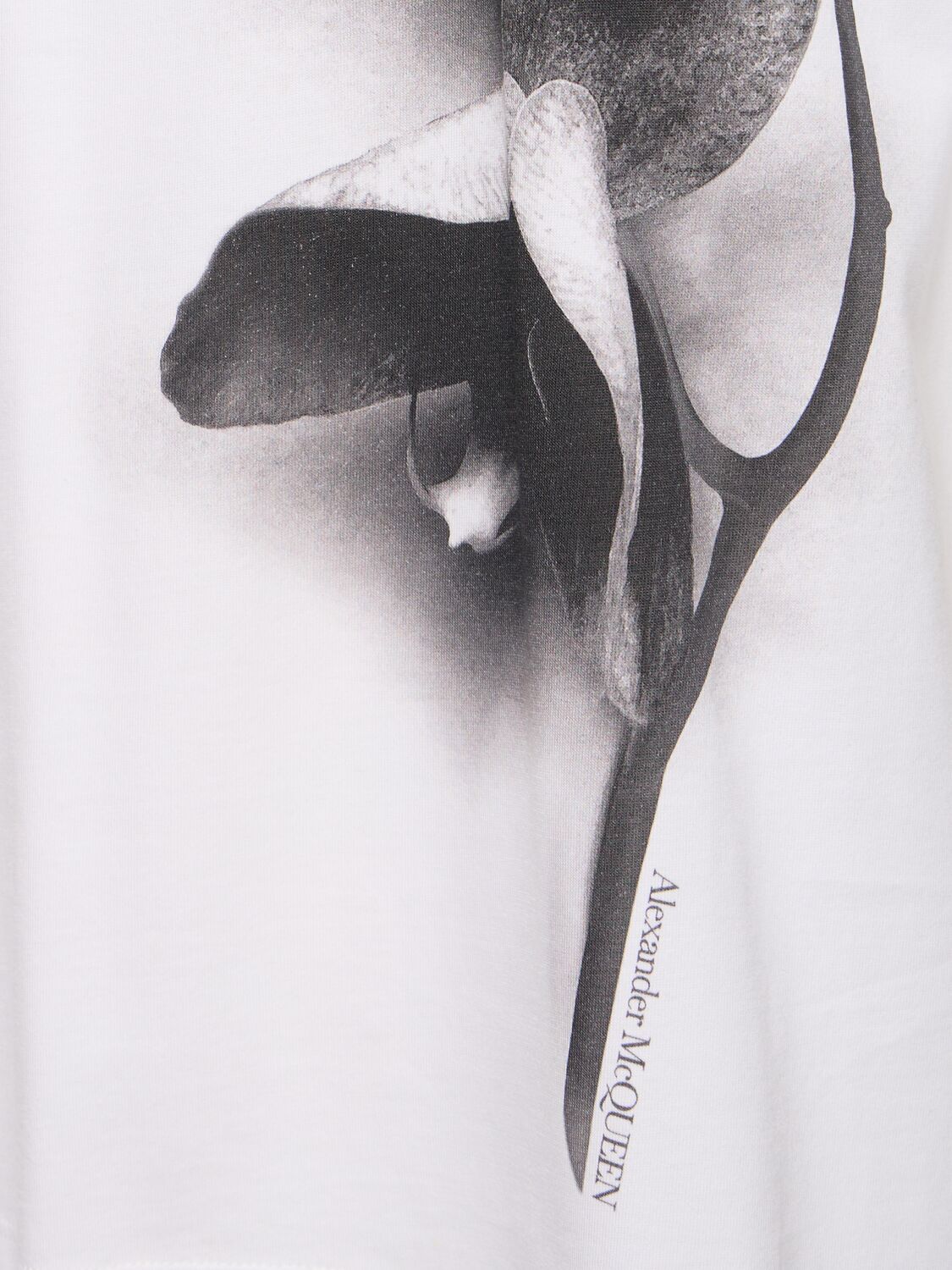 Shop Alexander Mcqueen Orchid Print Cotton T-shirt In White