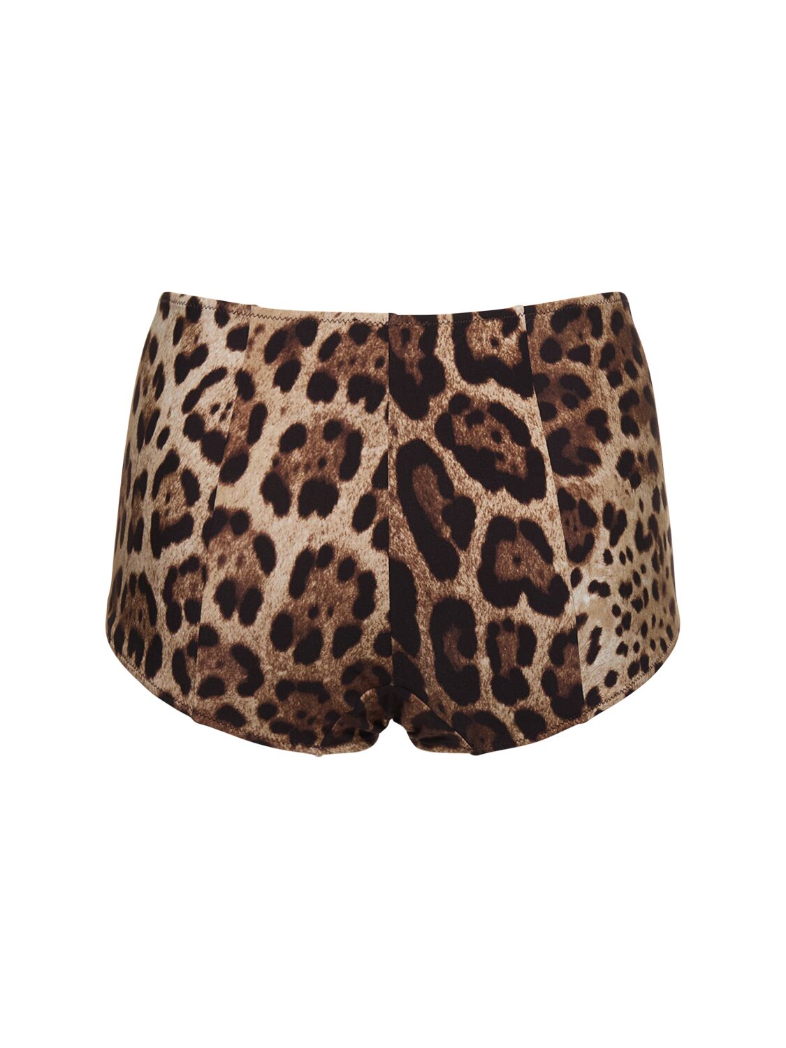 Dolce & Gabbana Leopart Print Jersey Bikini Bottoms In Multicolor