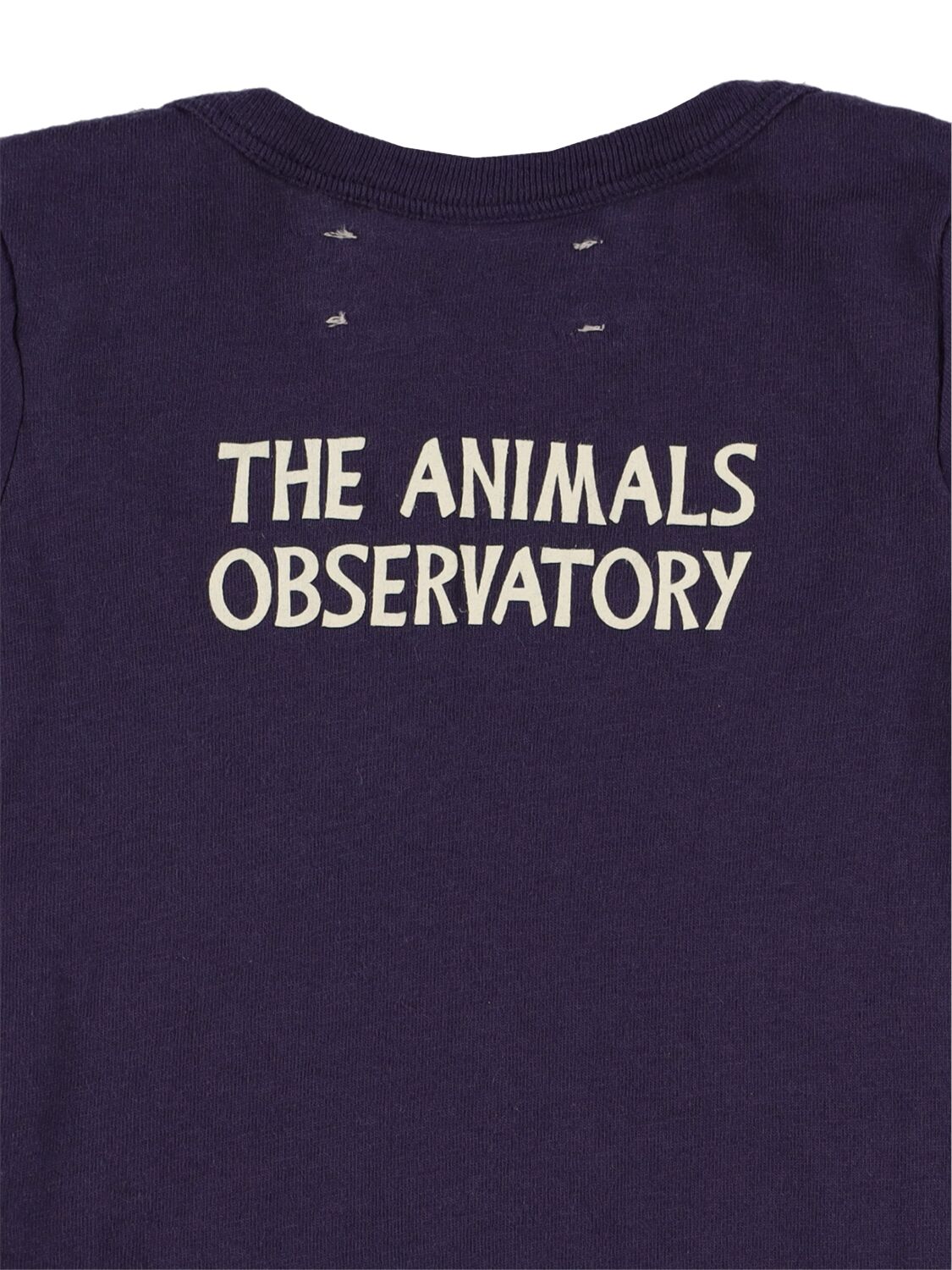 Shop The Animals Observatory Set Of 2 Printed Cotton Jersey Bodysuits In Beige,navy