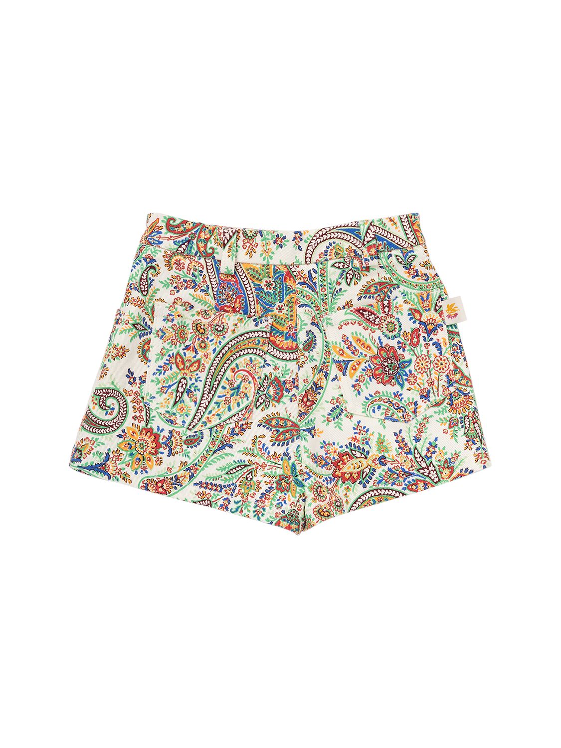 Shop Etro Printed Stretch Bull Cotton Shorts In Ivory,multi