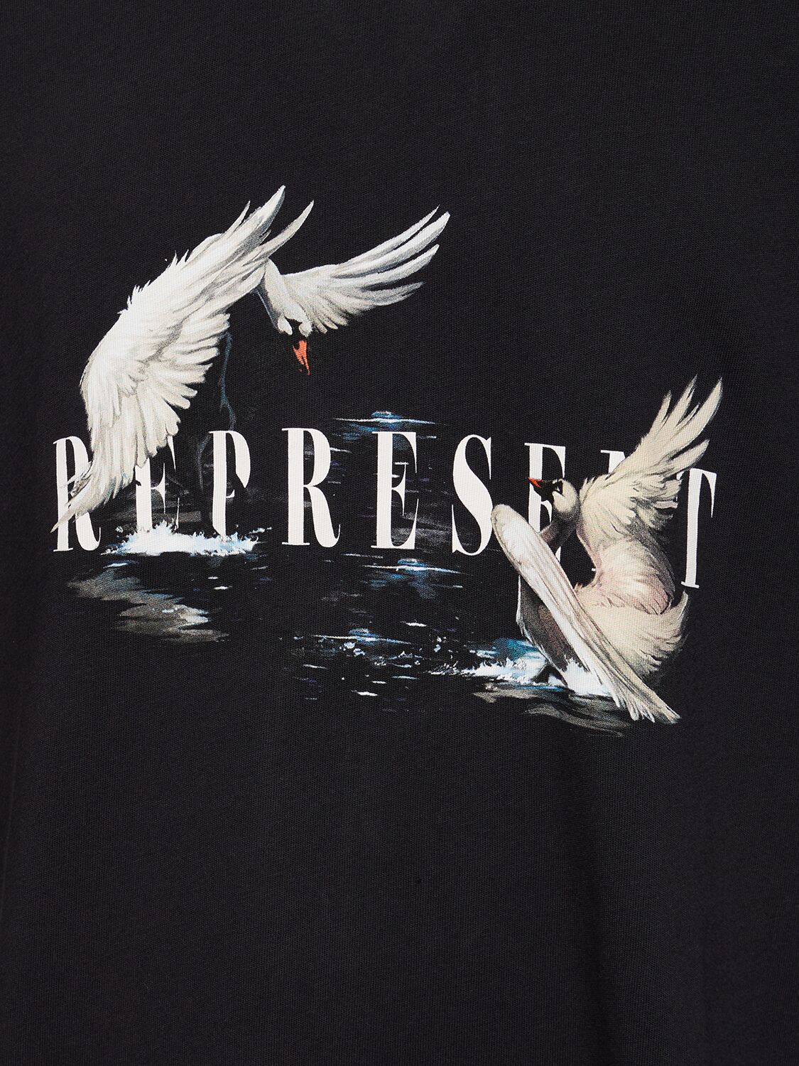 Shop Represent Swan Printed Cotton T-shirt In Schwarz