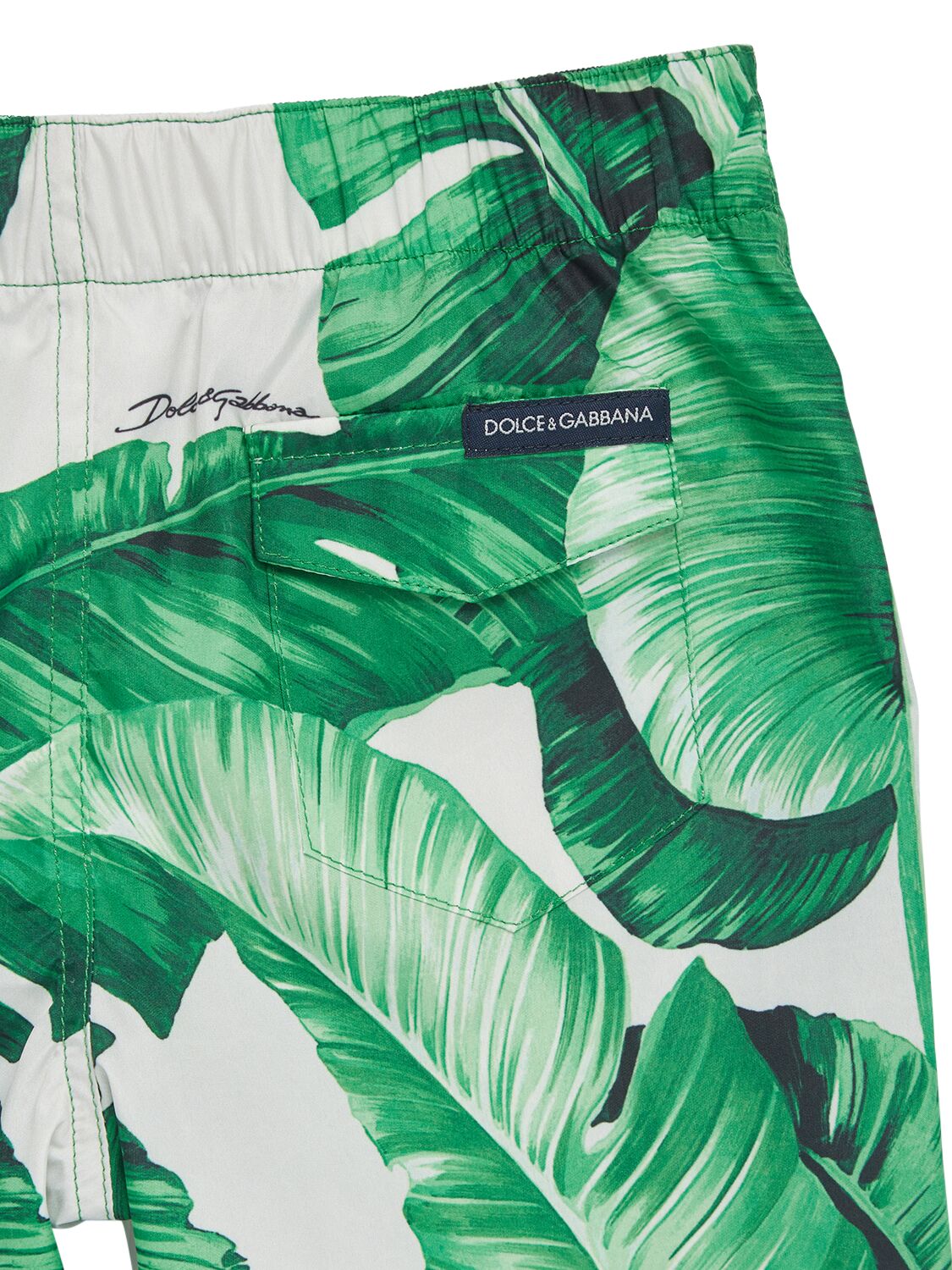 Shop Dolce & Gabbana Printed Cotton Shorts In Weiss,grün
