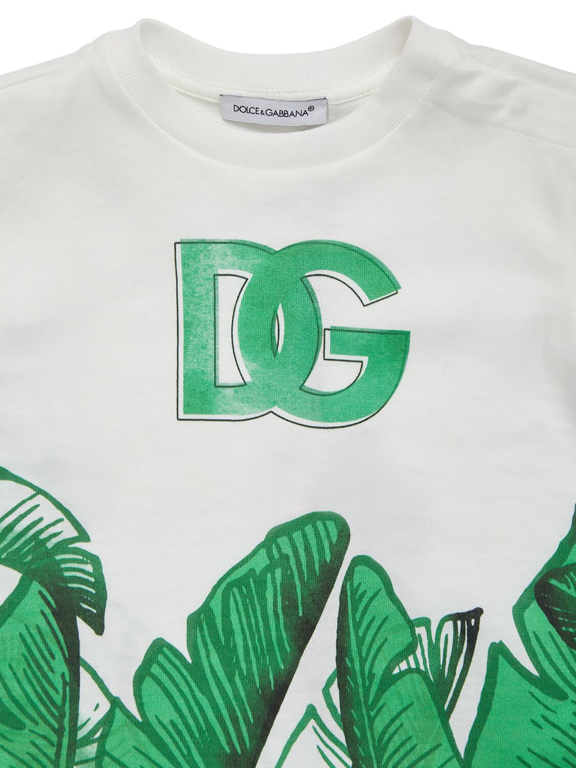 Shop Dolce & Gabbana Printed Cotton Jersey T-shirt W/ Logo In Weiss,grün