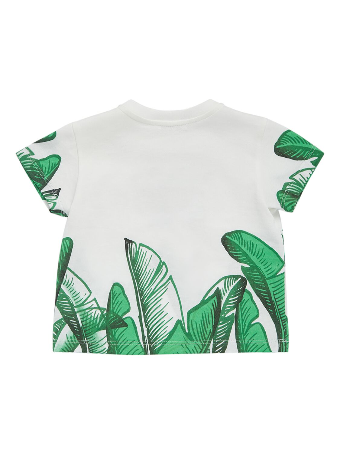 Shop Dolce & Gabbana Printed Cotton Jersey T-shirt W/ Logo In Weiss,grün