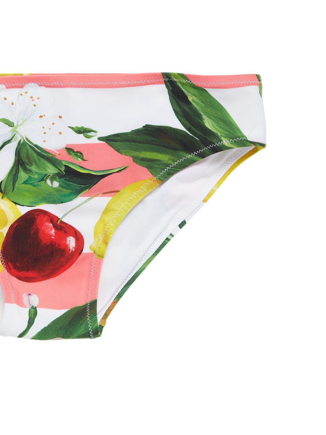 Shop Dolce & Gabbana Fruit Printed Tech Bikini Set In Bunt