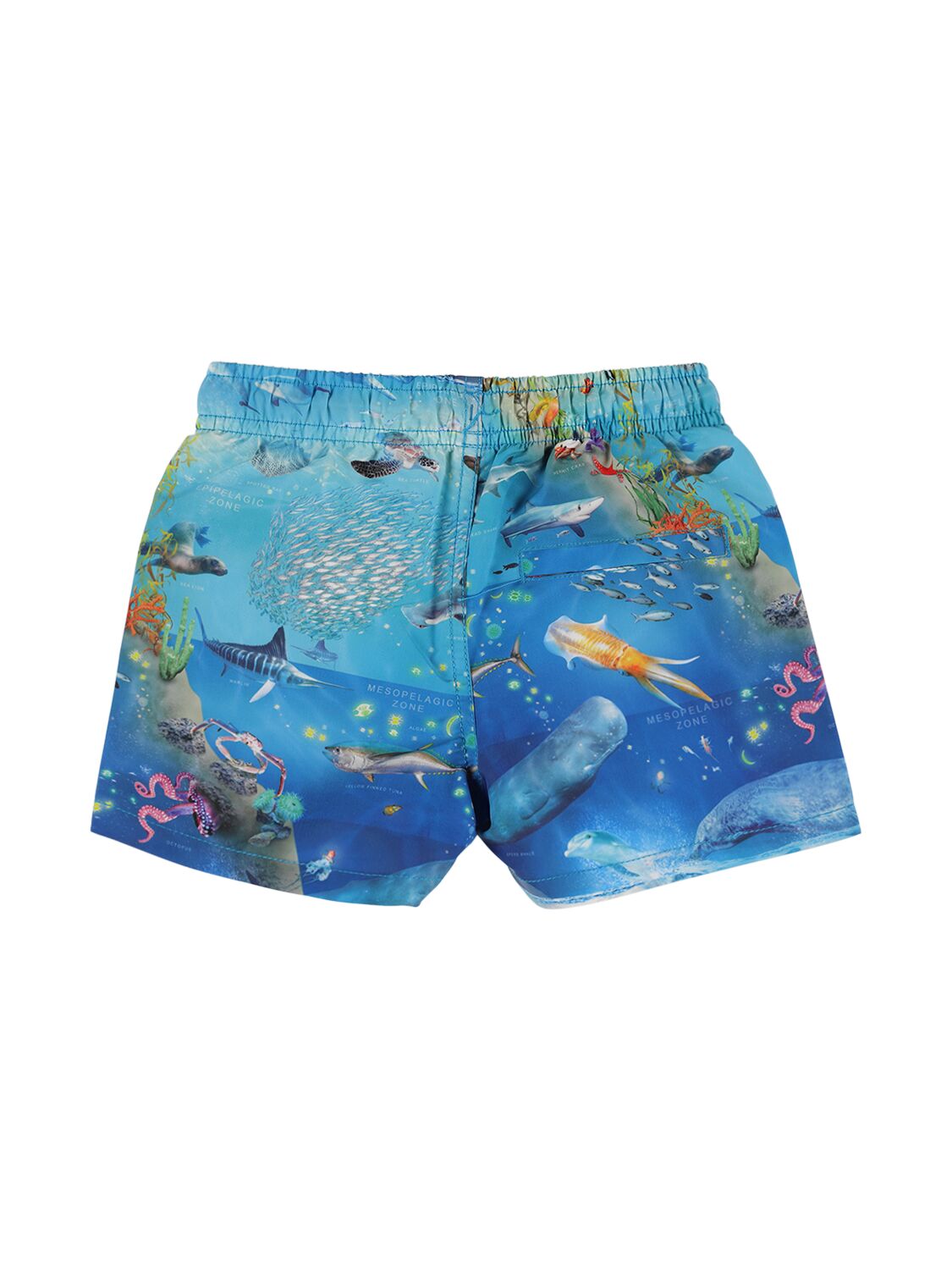 Shop Molo Printed Recycled Nylon Swim Shorts In Multicolor