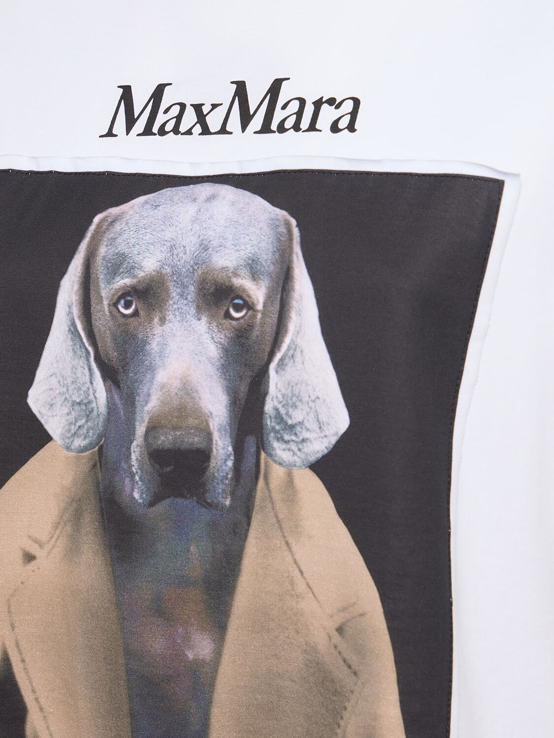 Shop Max Mara Cipria Printed Jersey T-shirt In White/camel