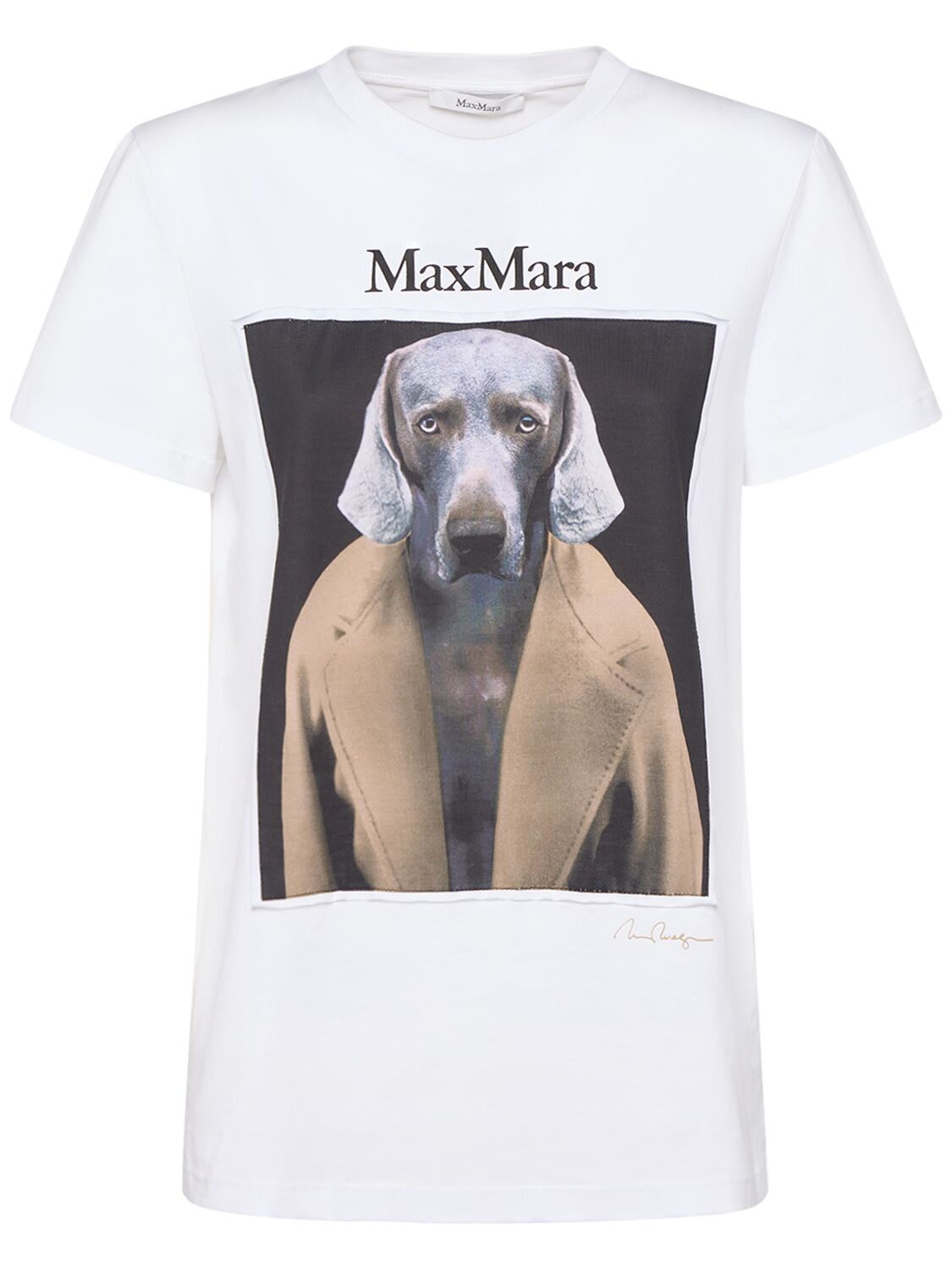 Max Mara Cipria Printed Jersey T-shirt In White/camel