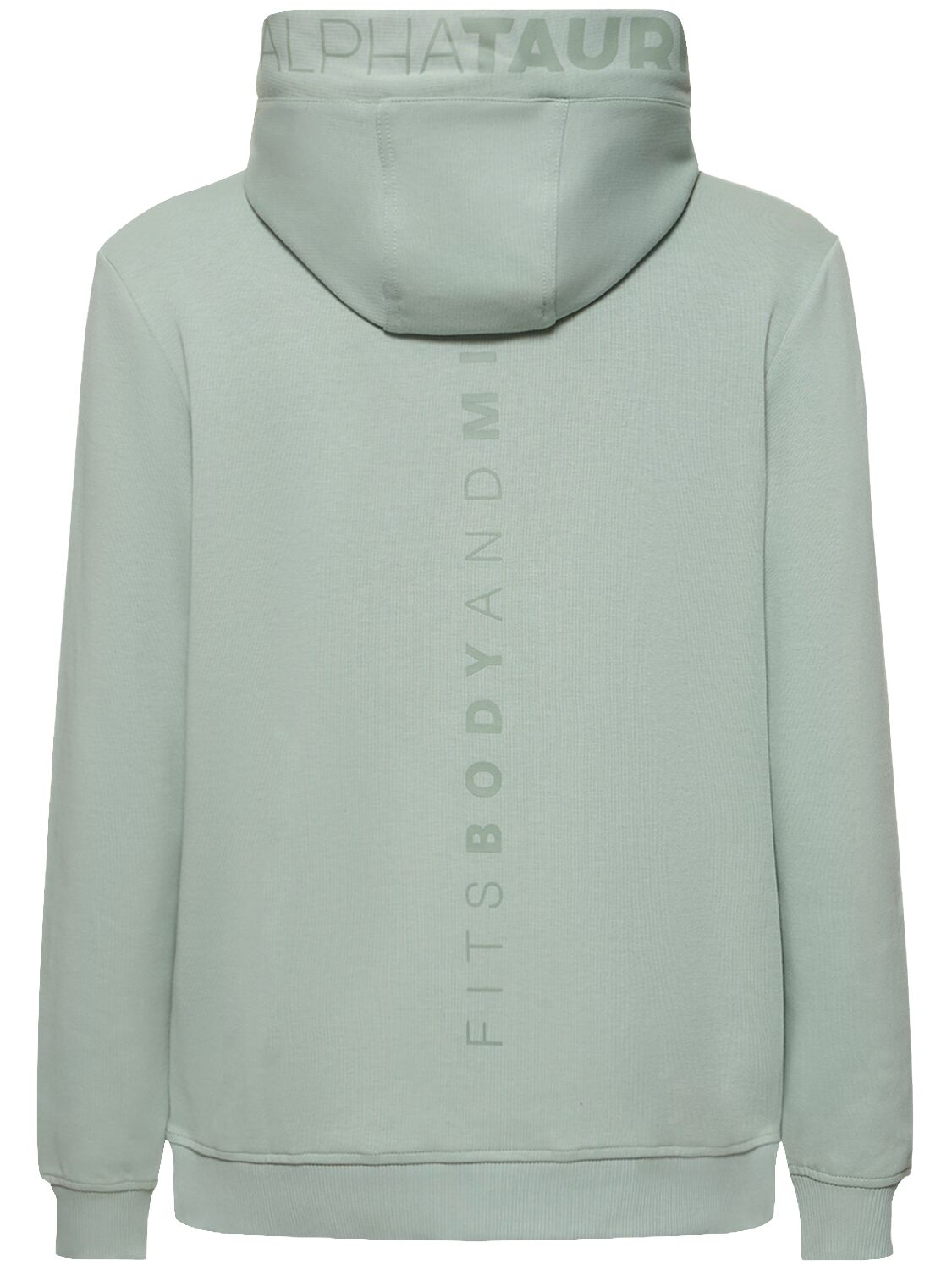 Shop Alphatauri Shero Hooded Sweatshirt In Dusty Mint