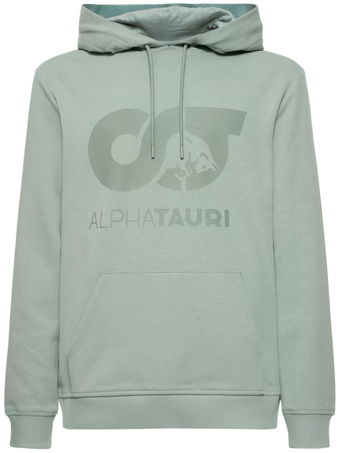 Alphatauri Shero Hooded Sweatshirt In Dusty Mint