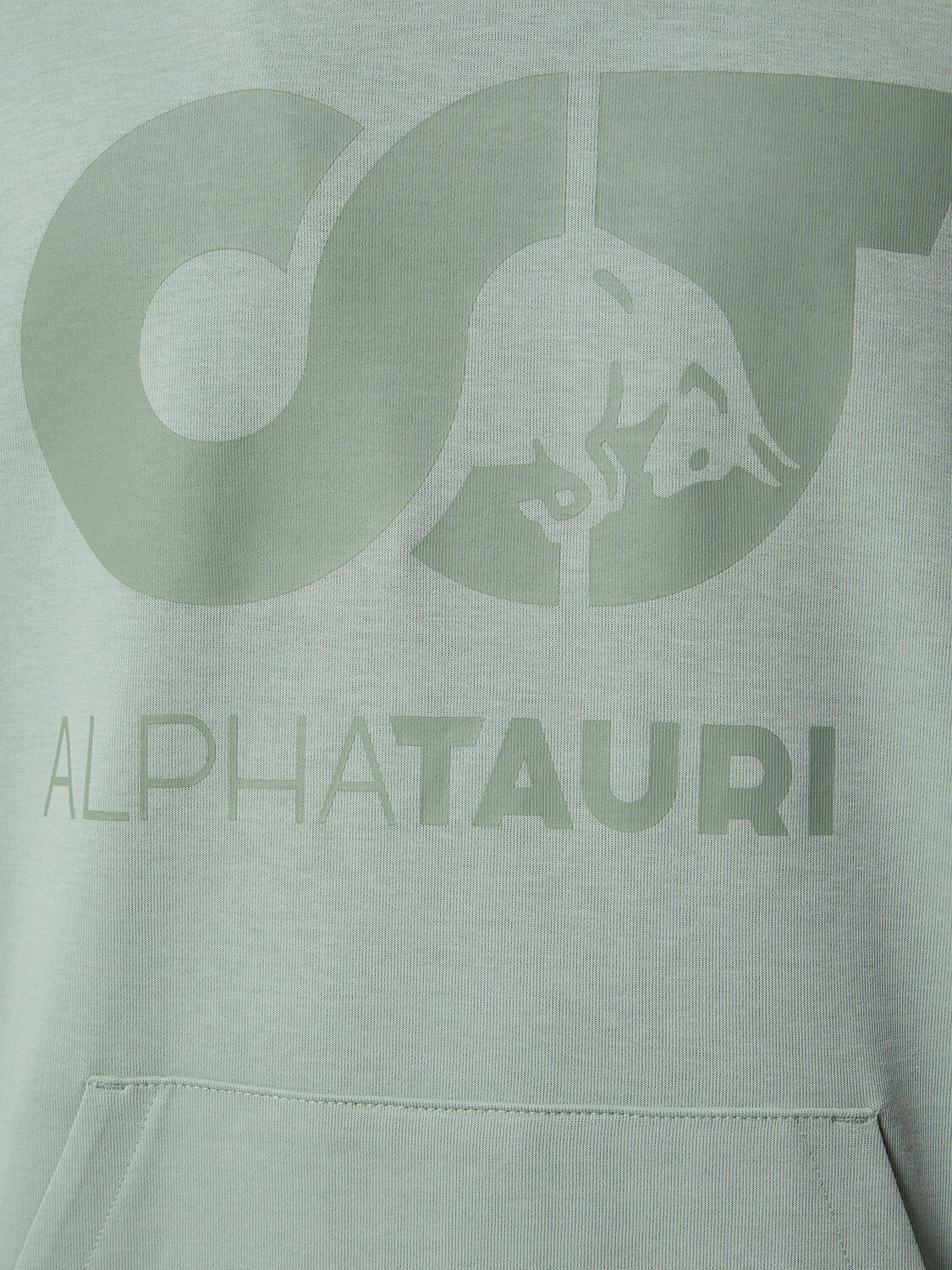 Shop Alphatauri Shero Hooded Sweatshirt In Dusty Mint