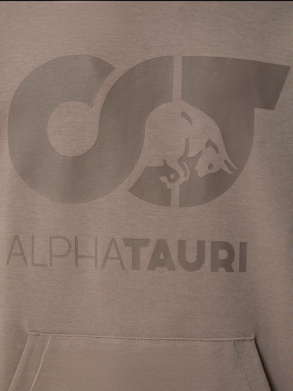 Shop Alphatauri Shero Hooded Sweatshirt In Mud