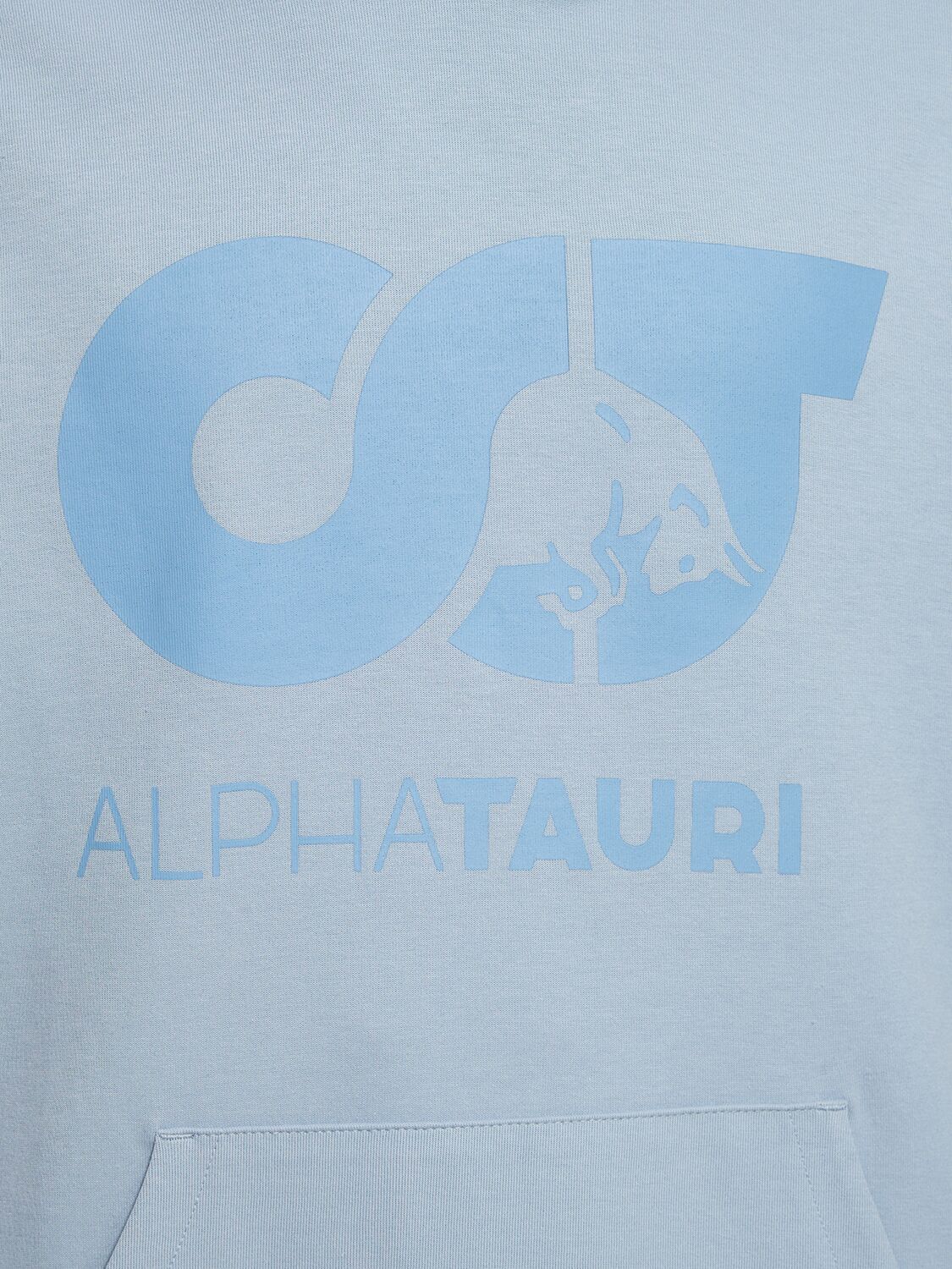 Shop Alphatauri Shero Hooded Sweatshirt In Stone Blue