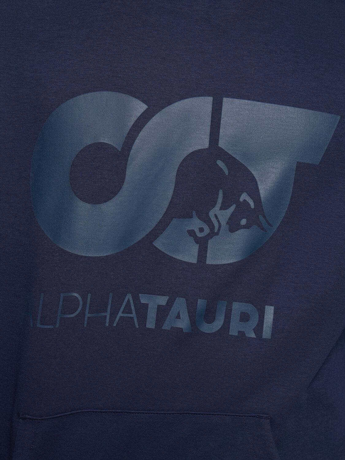 Shop Alphatauri Shero Hooded Sweatshirt In Navy